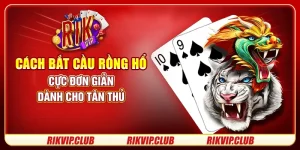 Cách Bắt Cầu Rồng Hổ Cực Đơn Giản Dành Cho Tân Thủ