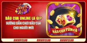 Bầu Cua Online Là Gì? Hướng Dẫn Chơi Bầu Cua Cho Người Mới