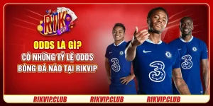 Odds Là Gì? Có Những Tỷ Lệ Odds Bóng Đá Nào Tại Rikvip