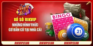 Xổ Số Rikvip - Những Hình Thức Cơ Bản Có Tại Nhà Cái