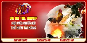 Đá Gà Tre Rikvip - Nơi Các Chiến Kê Thể Hiện Tài Năng